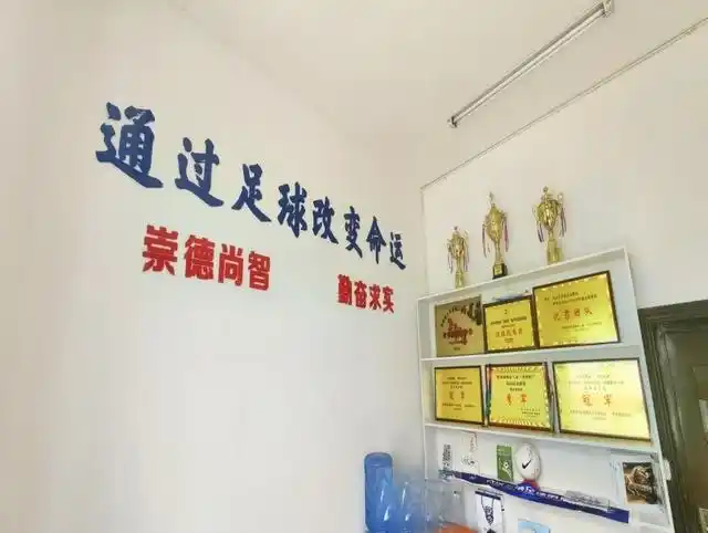 市赛冠军能不能授足球二级运动员_足球比赛荣获冠军_足球赛获得冠军