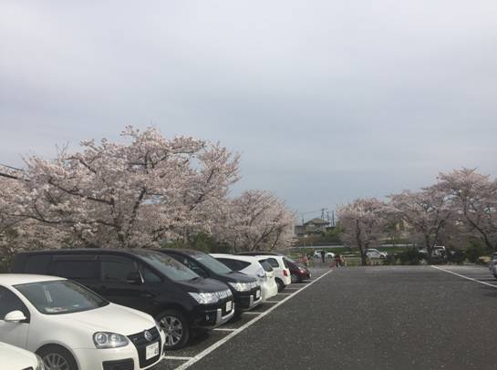 日本足球天皇杯重要吗_日本天皇杯球队重视吗_日本足球天皇杯历史冠军球队介绍